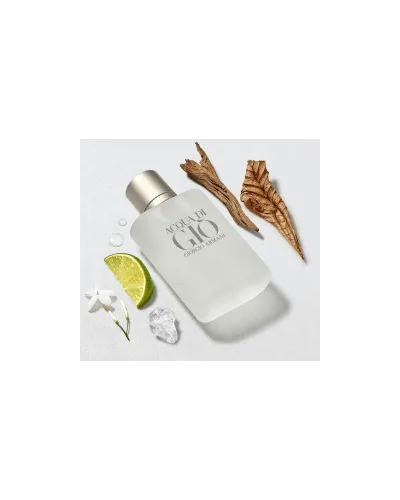 Acqua di Giò Giorgio Armani Pour Homme Eau de Toilette - Perfume Masculino 100ml