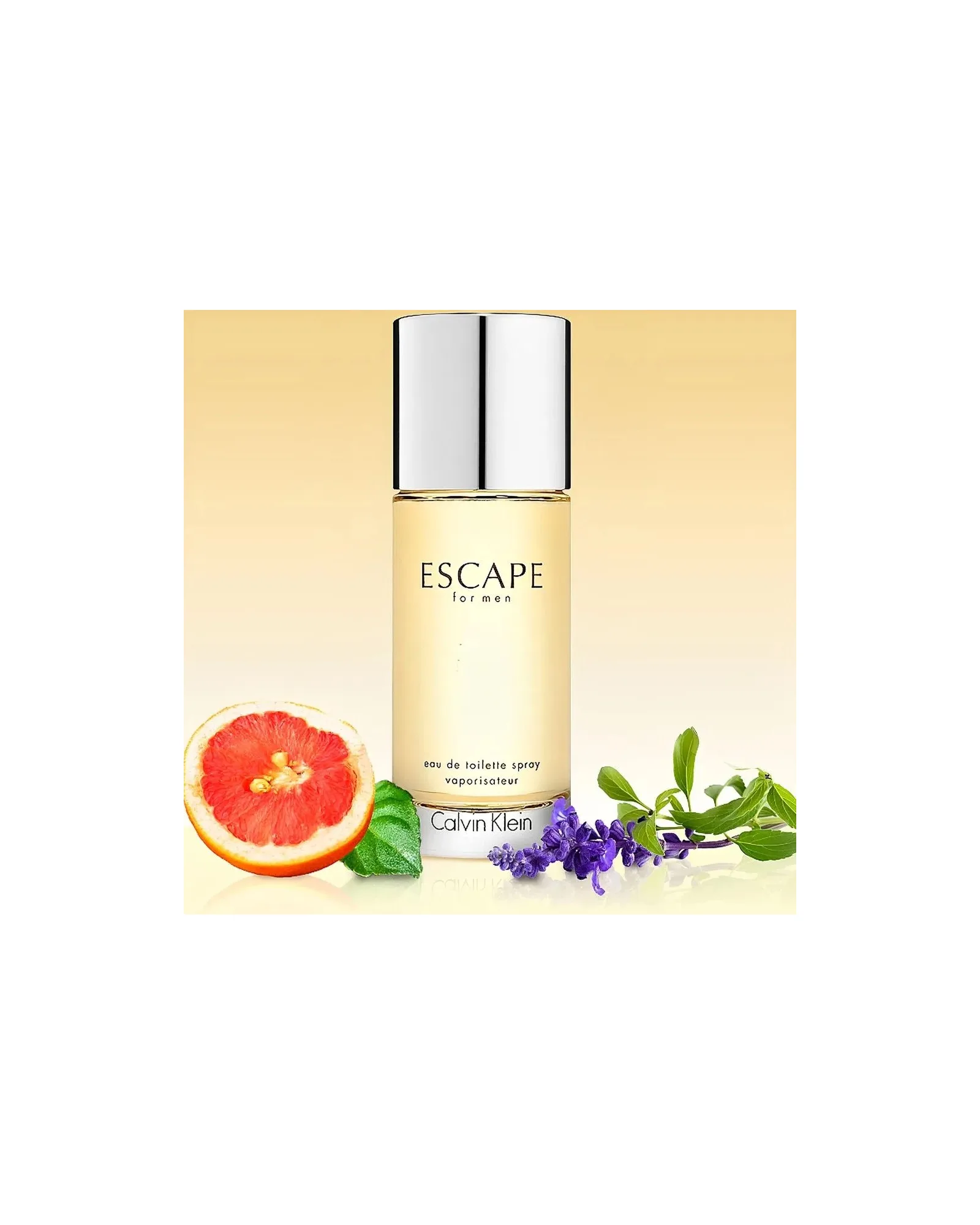 Escape Masculino Eau de Toilette - 100 ml