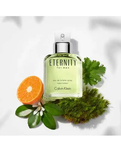 Eternity for Men Calvin Klein Eau de Toilette - Perfume Masculino 100ml