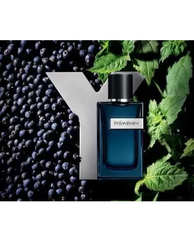 Y Yves Saint Laurent Eau de Parfum Intense - Perfume Masculino 100ml — Yves Saint Laurent