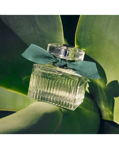 Naturelle Intense Chloé Eau de Parfum Intense - Perfume Feminino 100ml