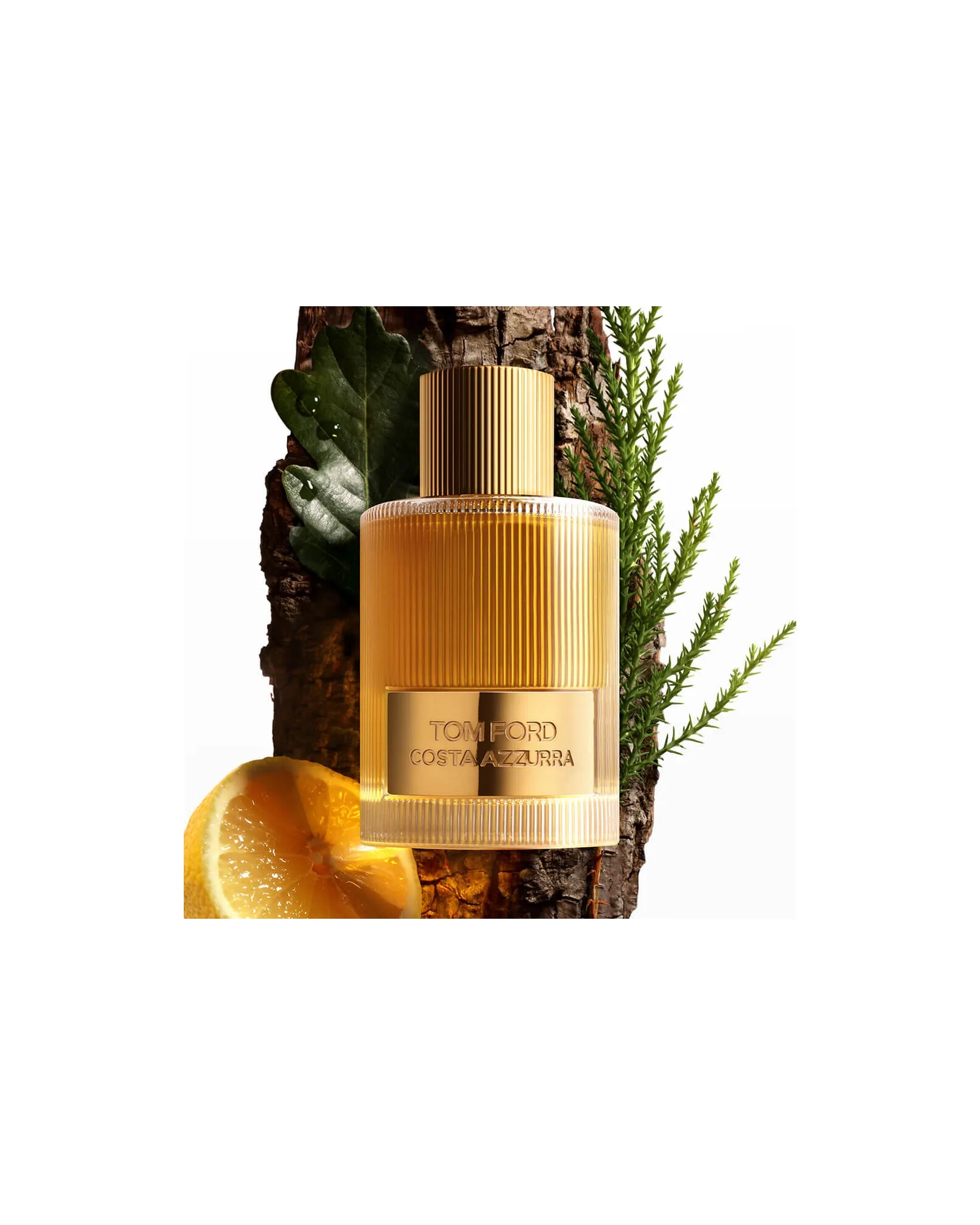 Costa Azzurra Tom Ford Eau de Parfum - Perfume Compartilhável 100ml