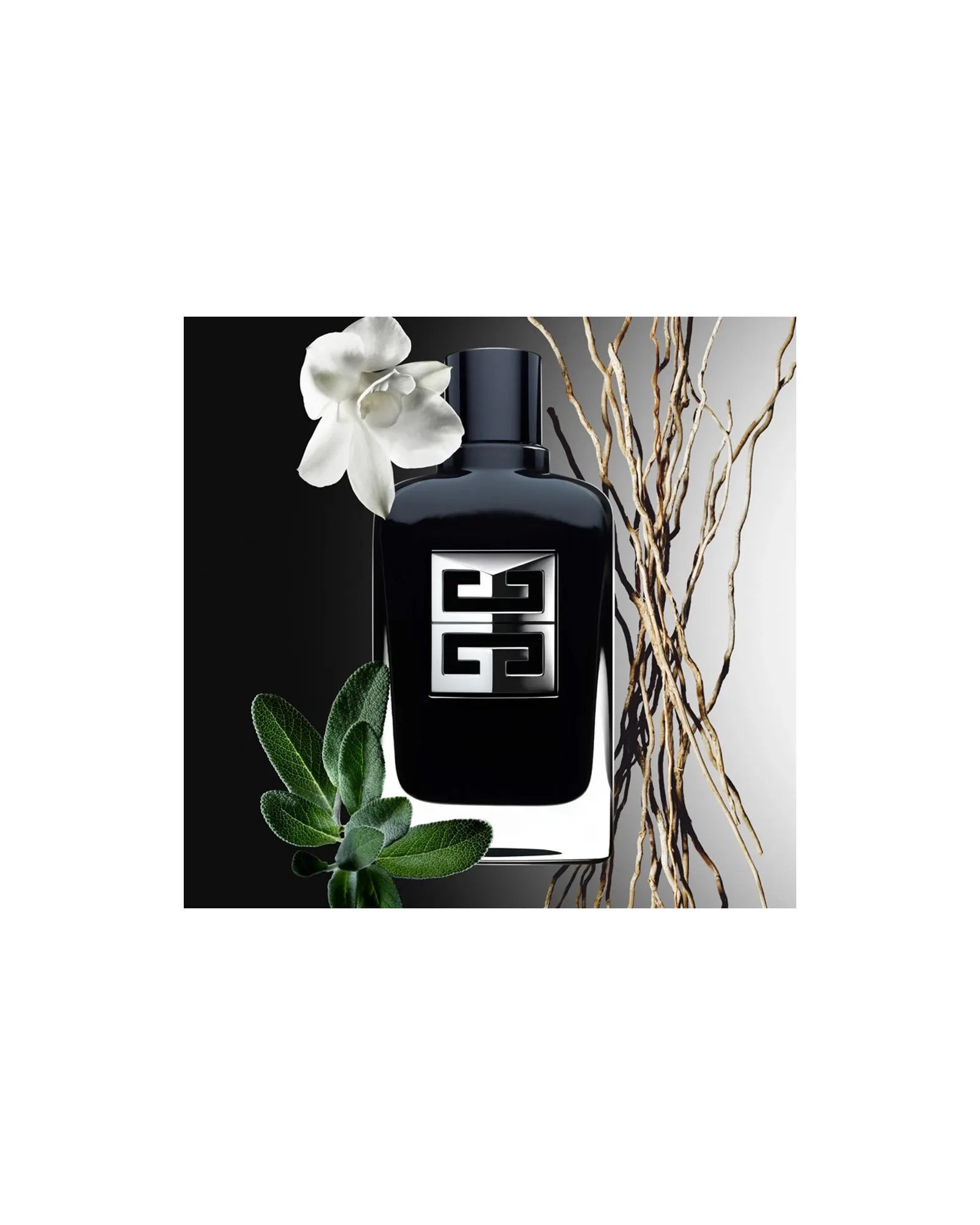 Gentleman Society Givenchy Eau de Parfum - Perfume Masculino 60ml