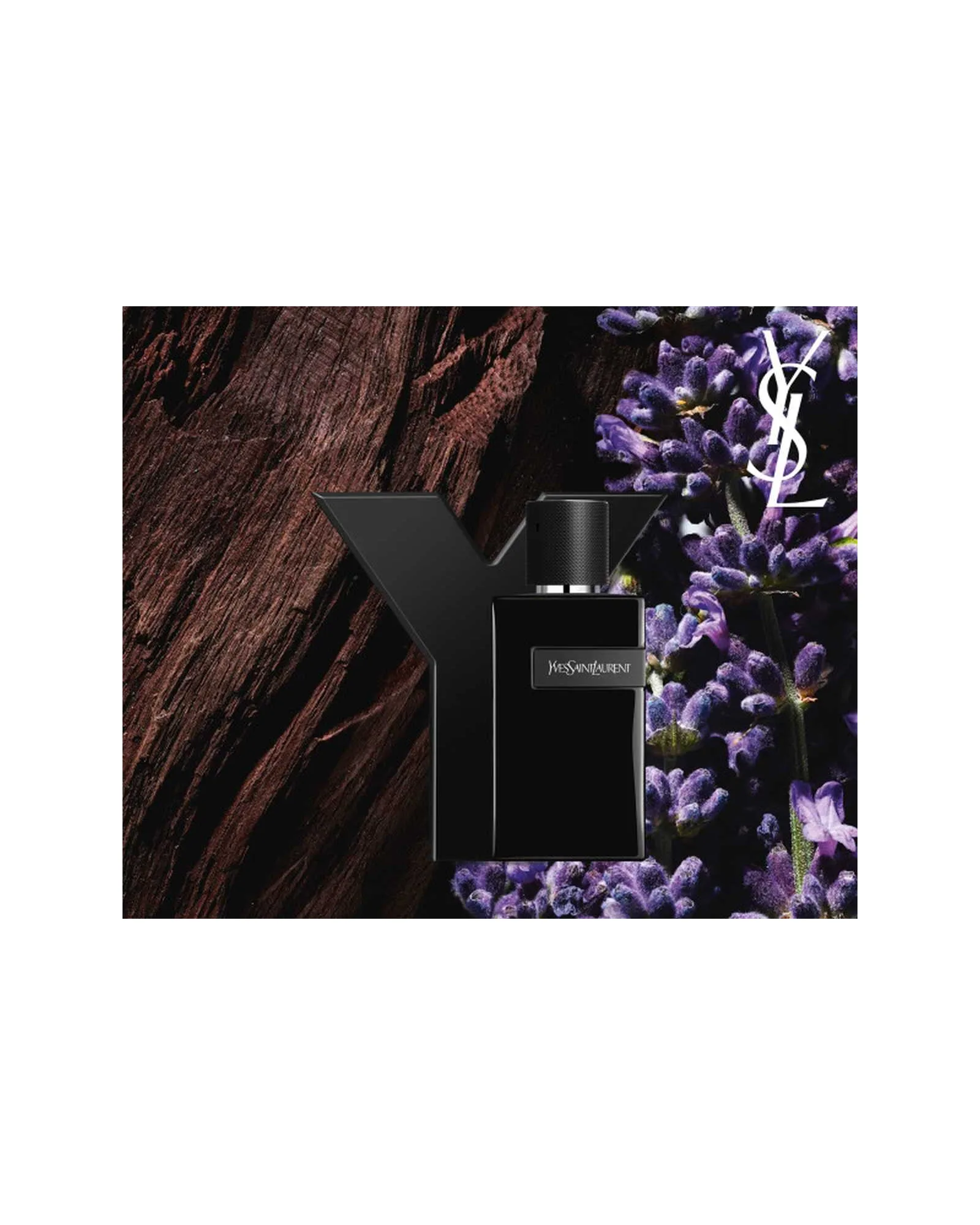 Y Yves Saint Laurent Le Parfum - Perfume Masculino 100ml