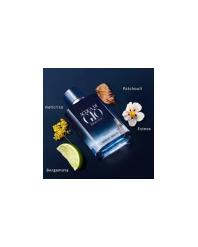 Acqua di Giò Profondo Giorgio Armani Parfum - Perfume Masculino 100ml