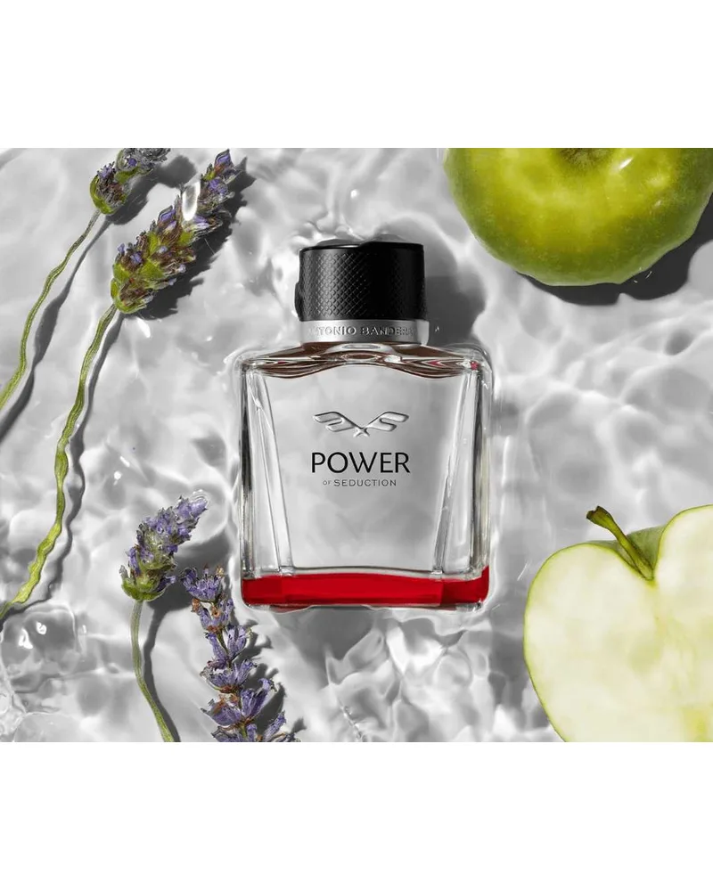 AB - Power of Seduction 100ml Eau de Toilette — Antonio Banderas