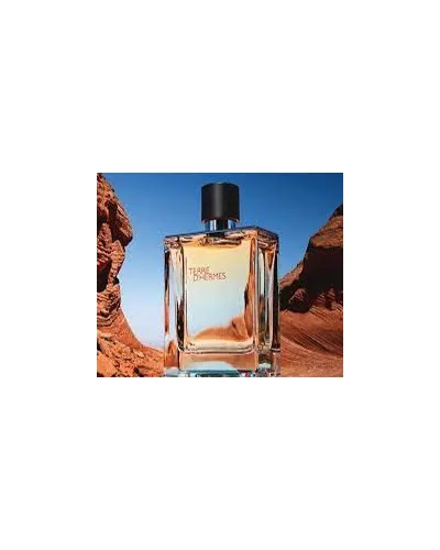 Terre D'Hermès Eau de Toilette - Perfume Masculino 100ml