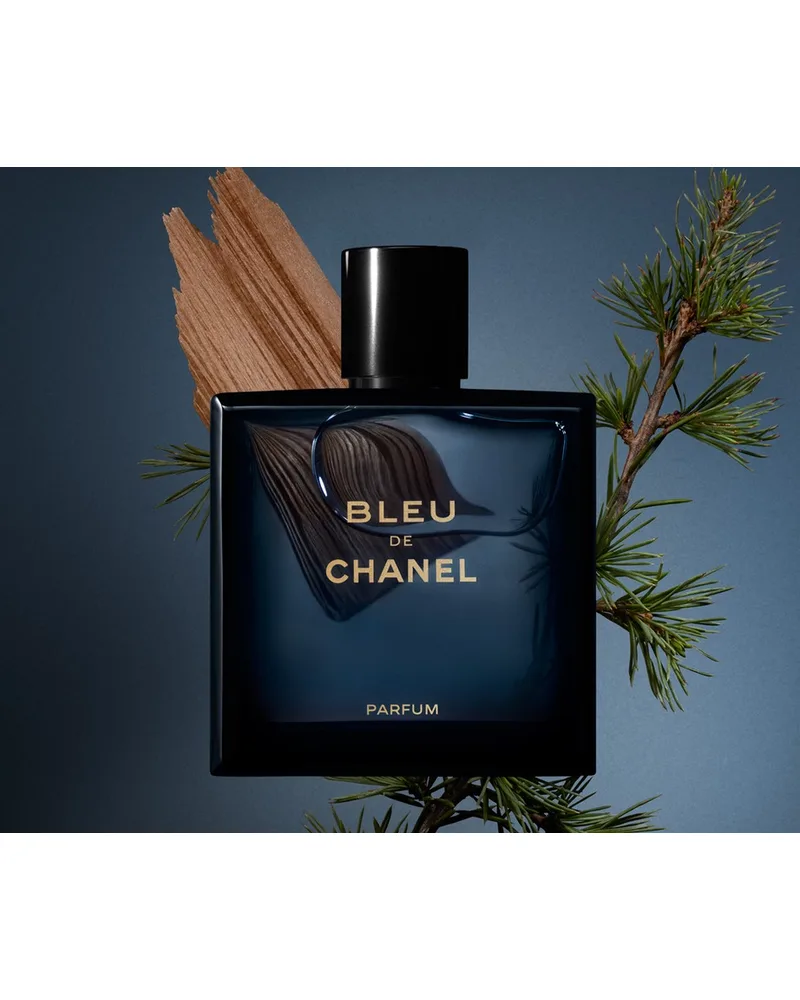 Bleu de Chanel Parfum Masculino 100ml — Chanel