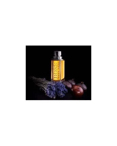 The Scent for Him Hugo Boss Eau de Toilette - Perfume Masculino 50ml — Hugo Boss