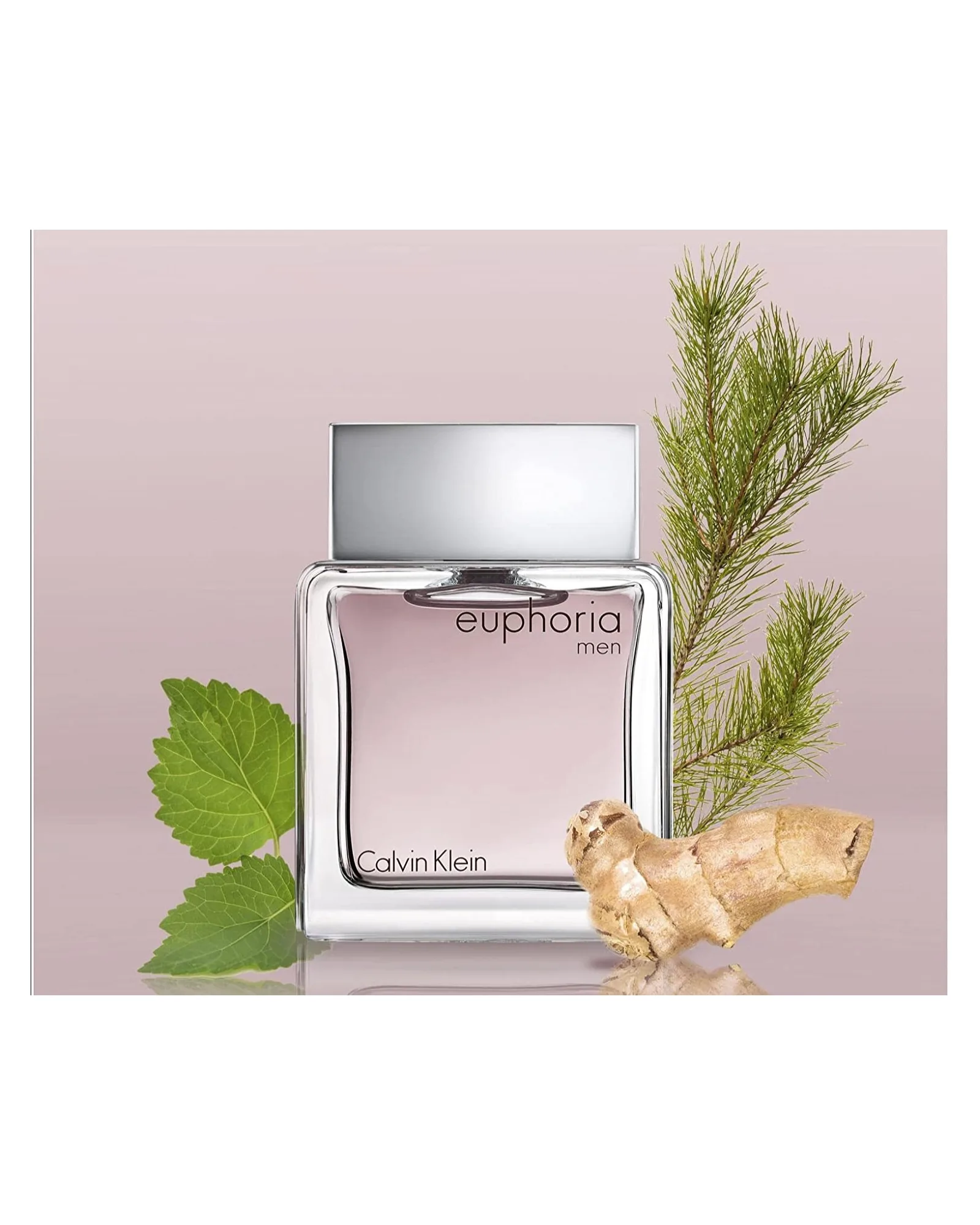 Euphoria Men Calvin Klein Eau de Toilette - Perfume Masculino 100ml
