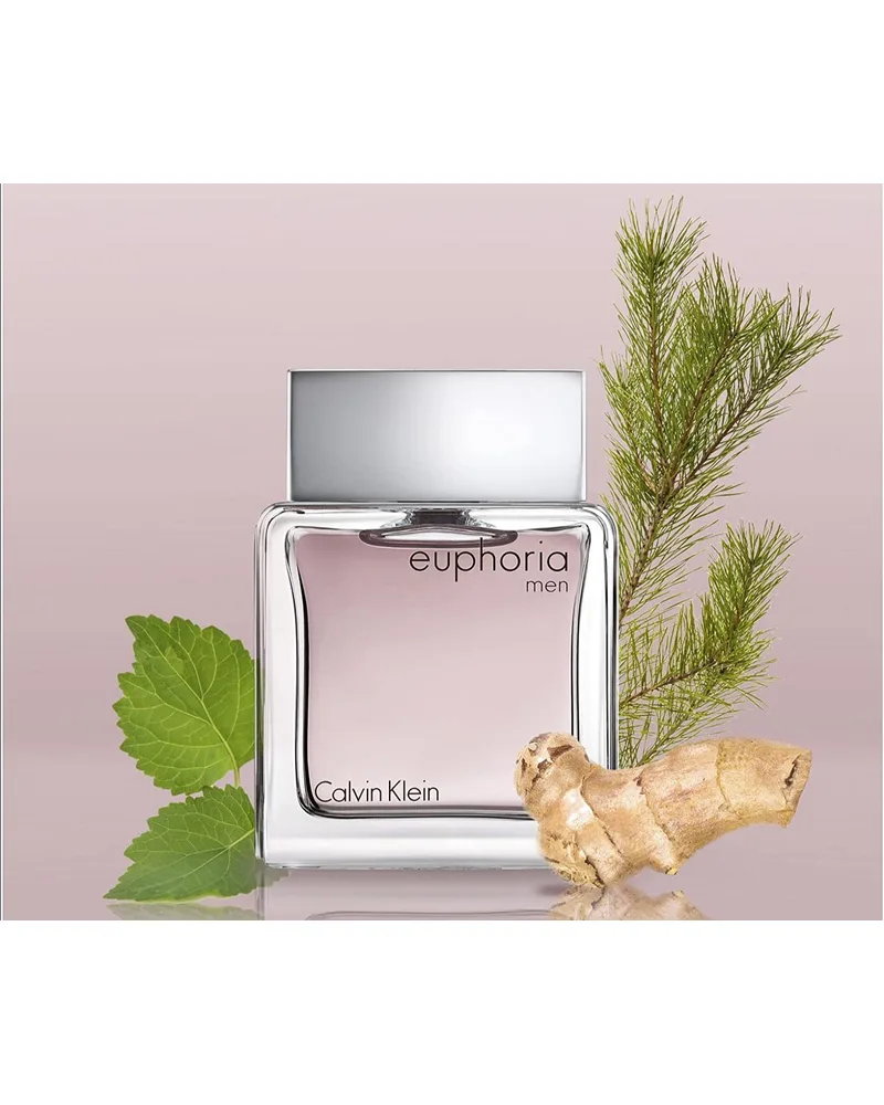 Euphoria Men Calvin Klein Eau de Toilette - Perfume Masculino 100ml — Calvin Klein