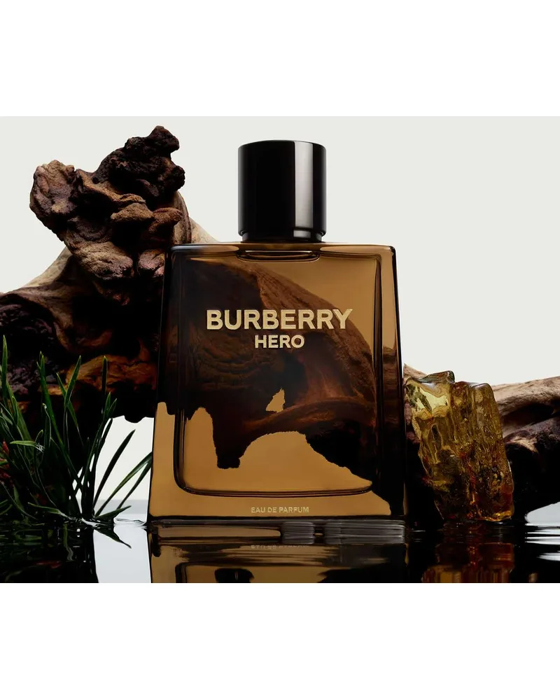 Hero Burberry Eau de Parfum - Perfume Masculino 100ml — Burberry