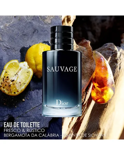Sauvage Dior Eau de Toilette - Perfume Masculino 100ml