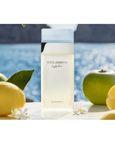 Light Blue Dolce & Gabbana Eau de Toilette - Perfume Feminino  100ML