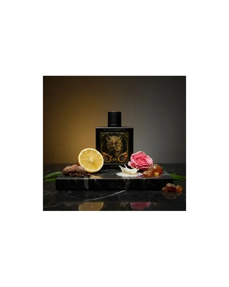 Tiger Rayhaan Eau de Parfum - Perfume Masculino 100ml — Rayhaan Perfumes