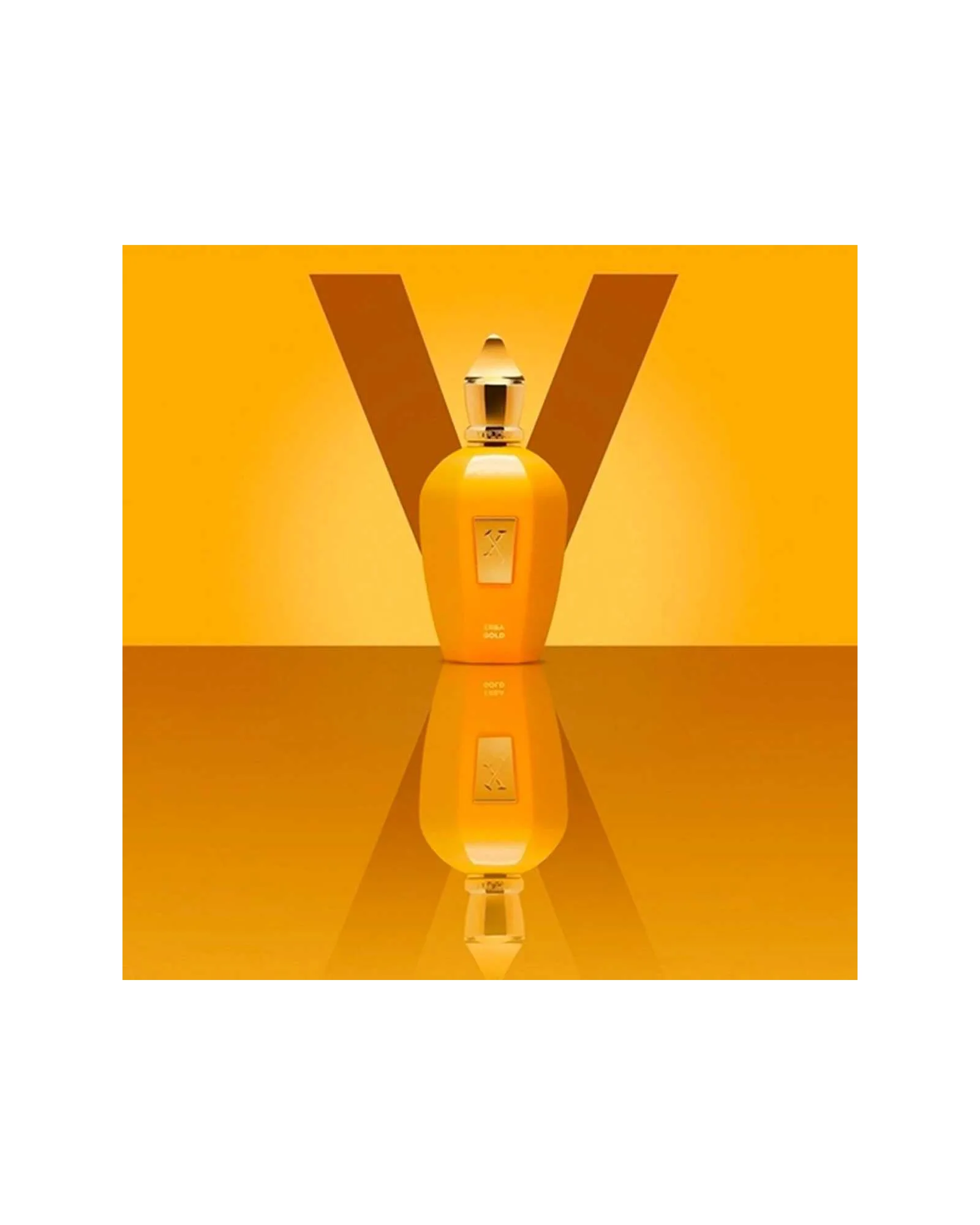 Erba Gold Xerjoff Eau de Parfum - Perfume Compartilhável 100ml