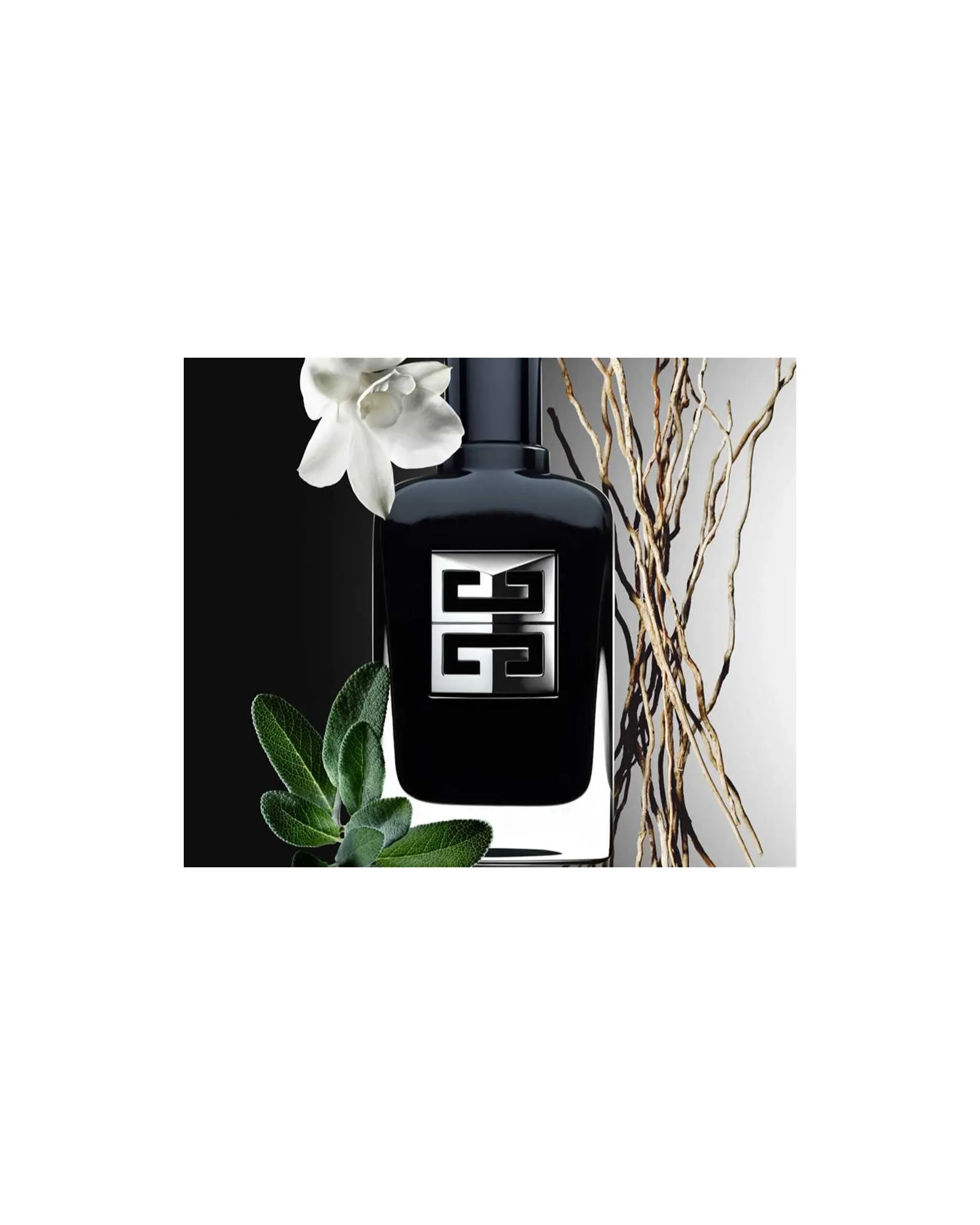 Gentleman Society Givenchy Eau de Parfum - Perfume Masculino 100ml