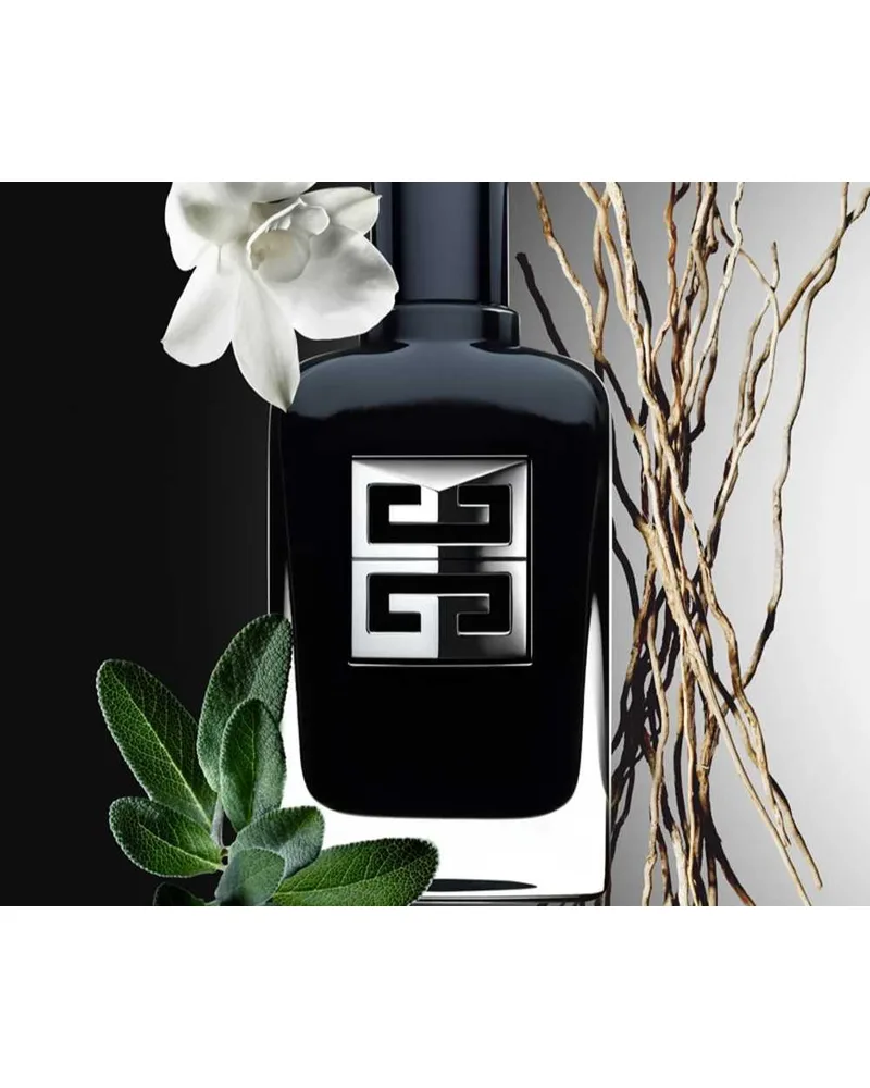 Gentleman Society Givenchy Eau de Parfum - Perfume Masculino 100ml — Givenchy