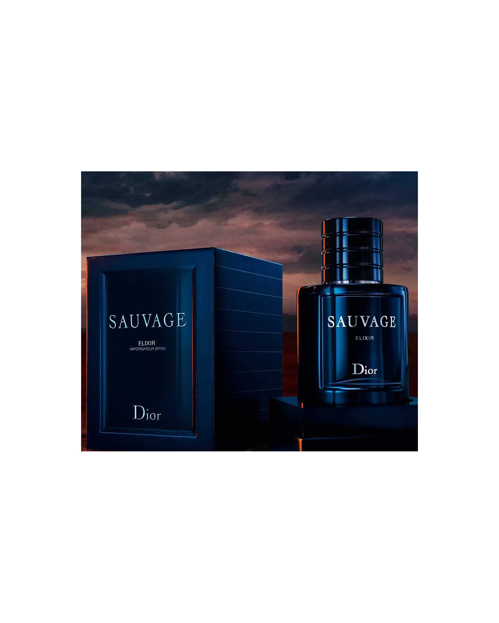 Sauvage Elixir Dior - Perfume Masculino 100ml